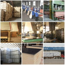 河北楊木芯建筑模板廠 建筑建材行業(yè)的優(yōu)質選擇